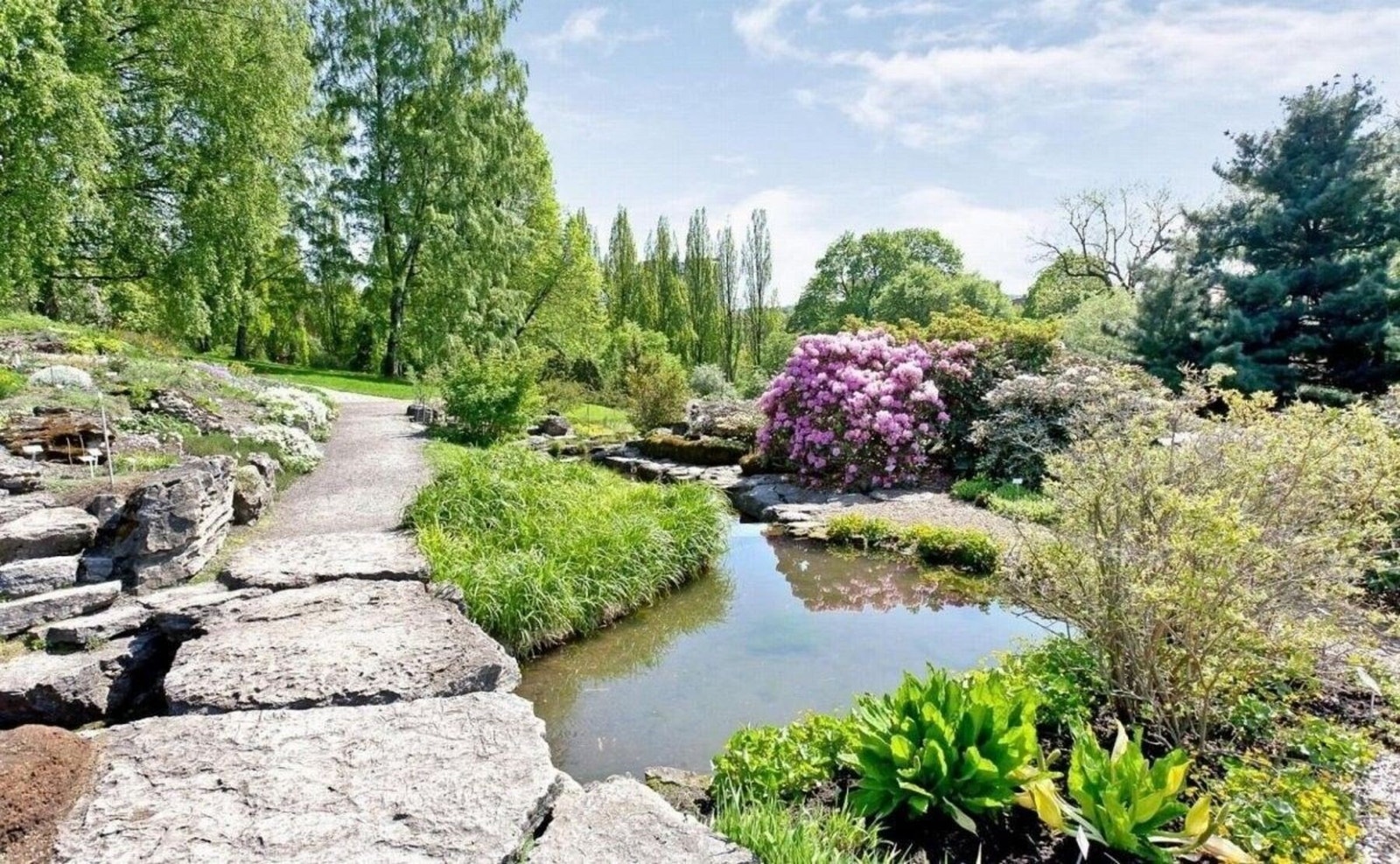 Kort vei til kanskje Oslos flotteste park Botanisk hage er kun en kort spasertur unna. Galleribilde