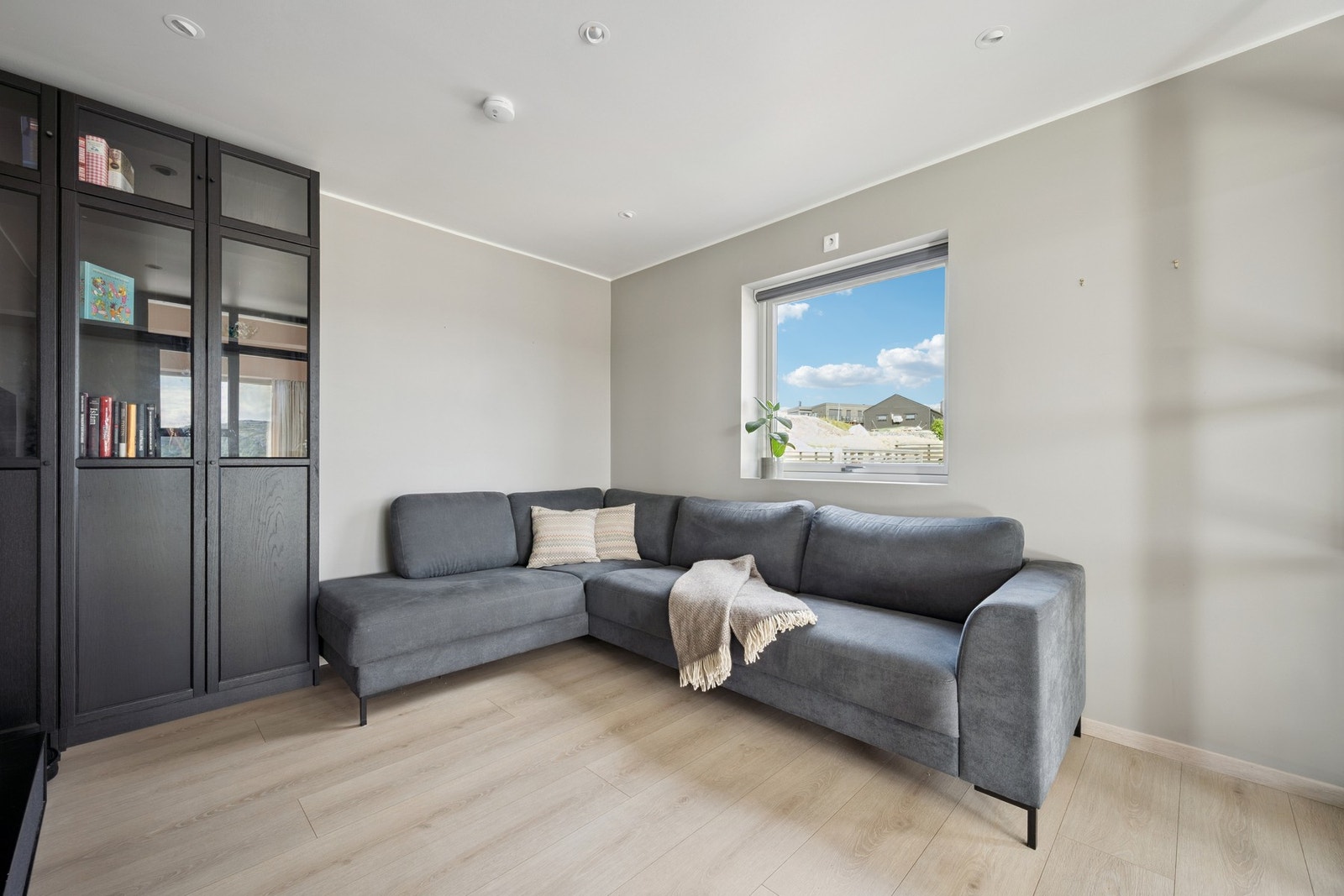 Tv-stue Galleribilde