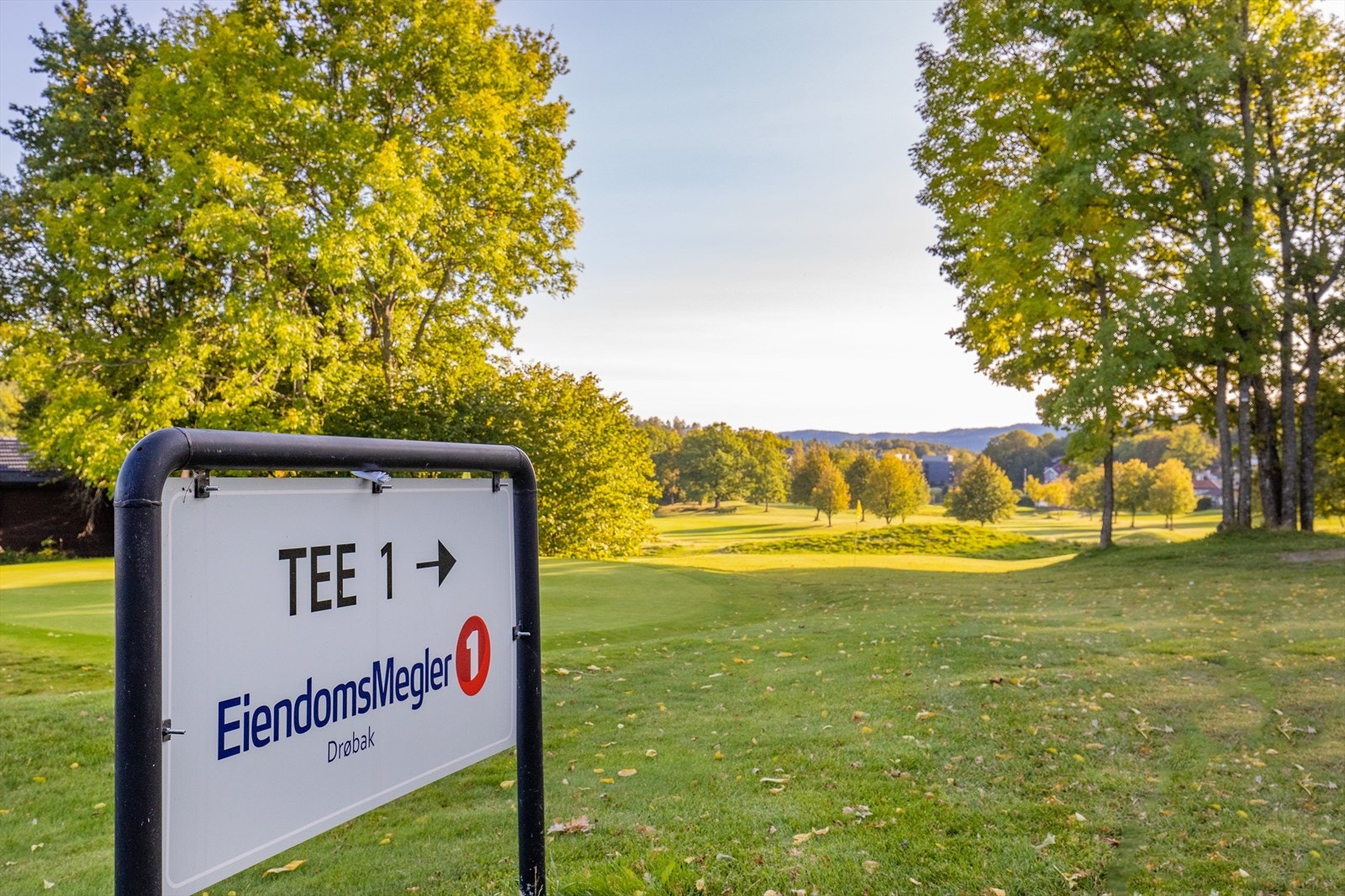 Golfbanen med sine 18 hull. Galleribilde