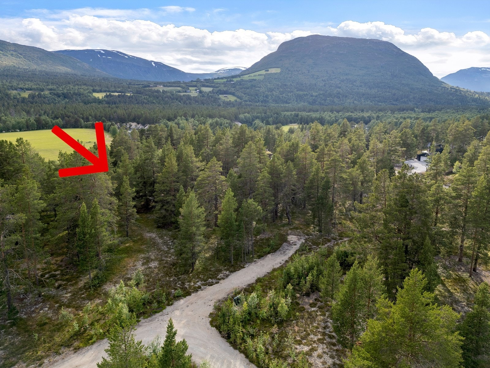 Dronefoto Galleribilde