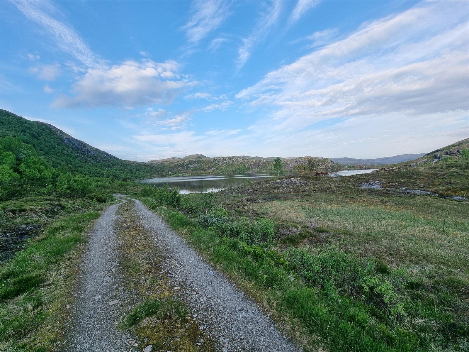 Selgers egne bilder Galleribilde