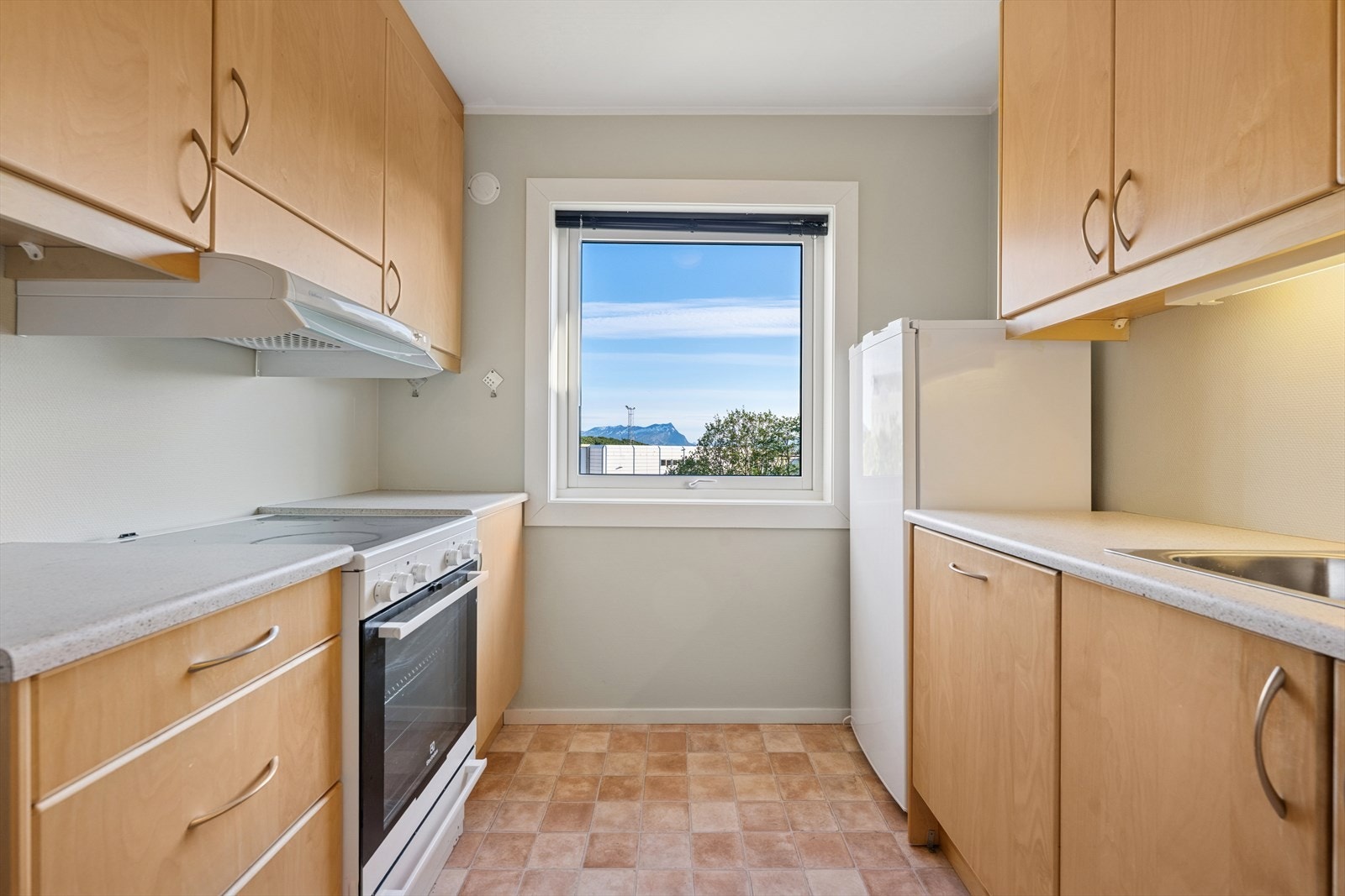 Fint kjøkken, innredning med heltre, slette fronter. Mekanisk avtrekk plassert over komfyrplass. Galleribilde