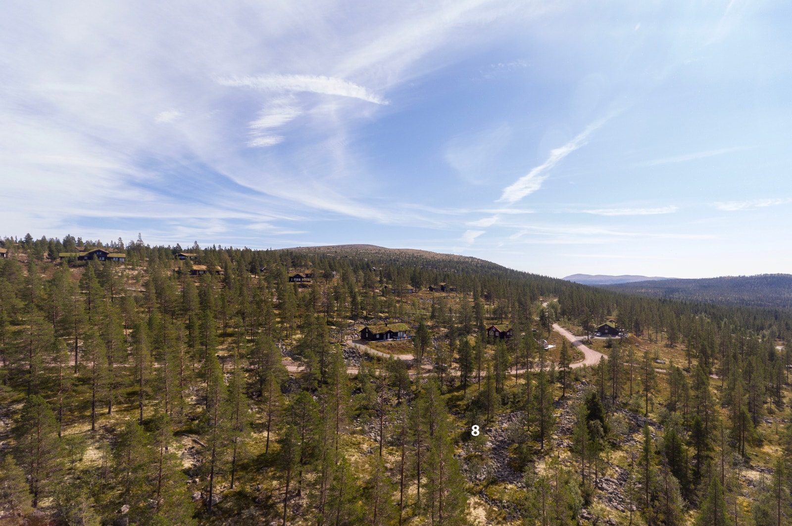 Harestubben Galleribilde