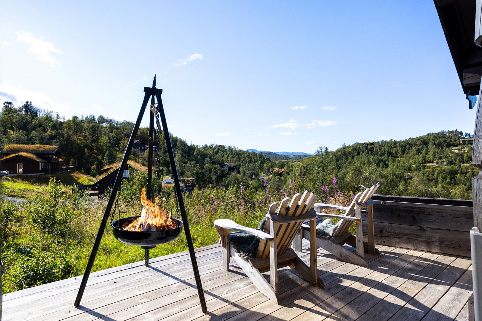 Flott utsikt over nærområde Galleribilde