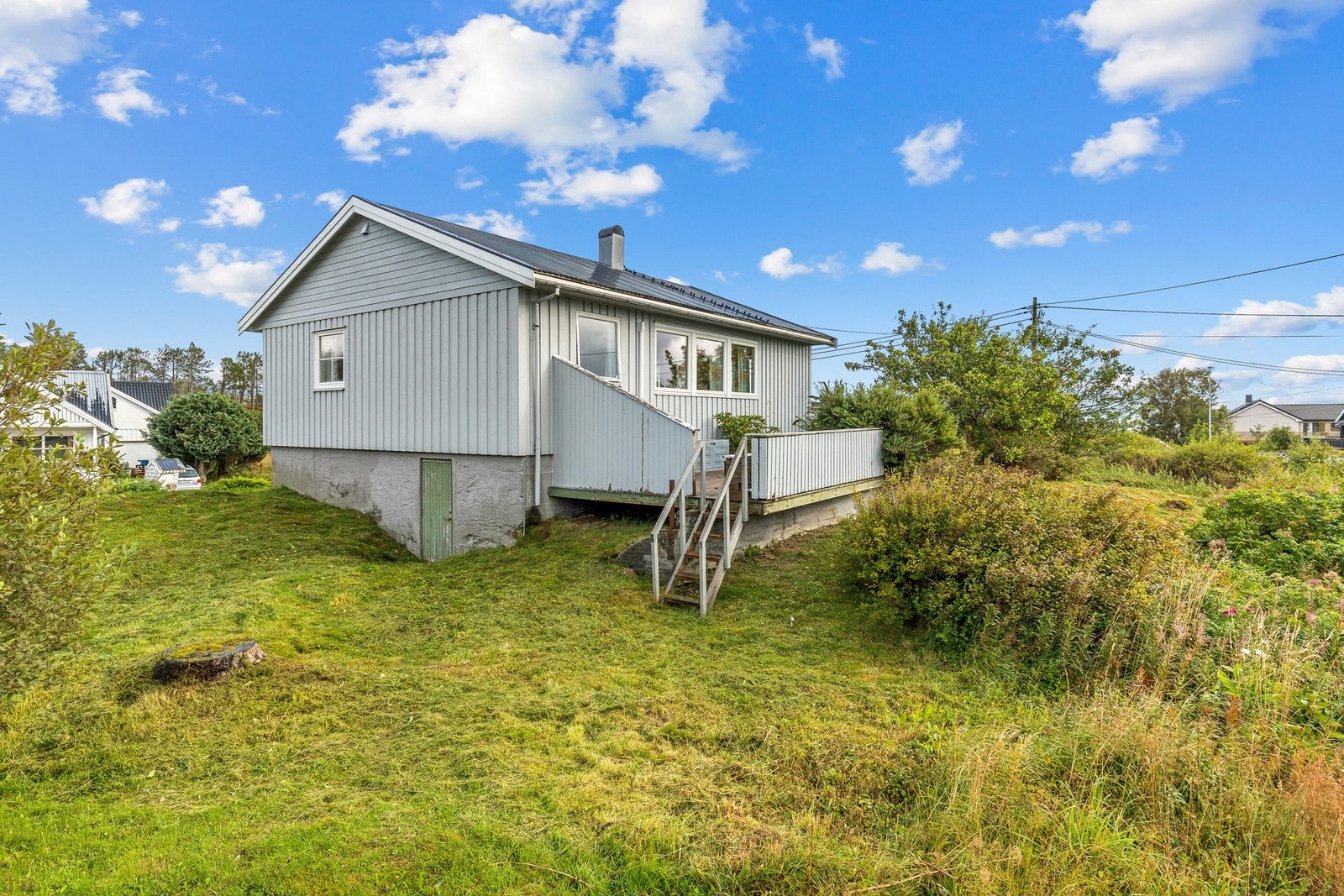 I egen hage har man to epletrær som gir god fangst gjennom sommerhalvåret. Galleribilde