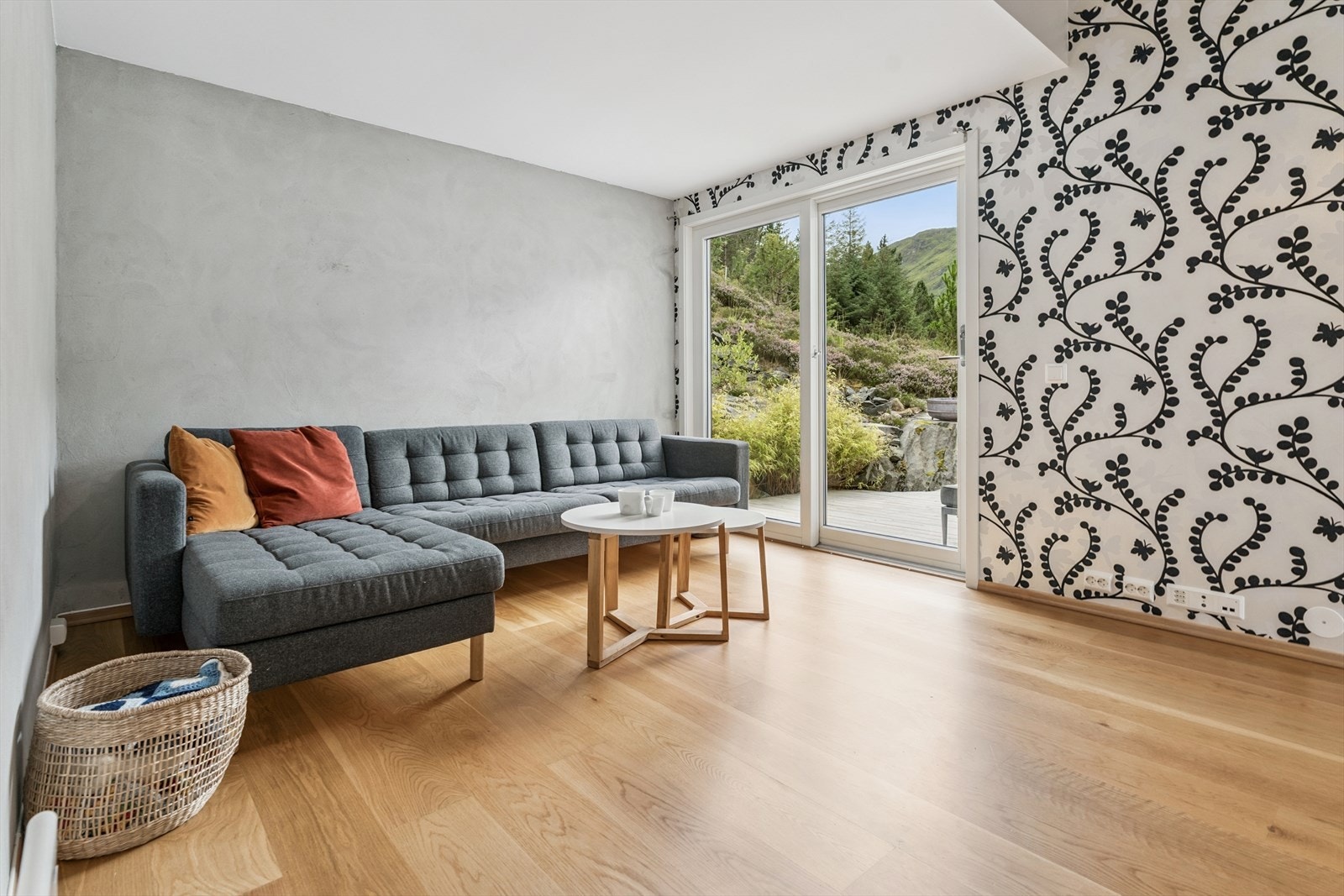 Stue/tv-stue Galleribilde