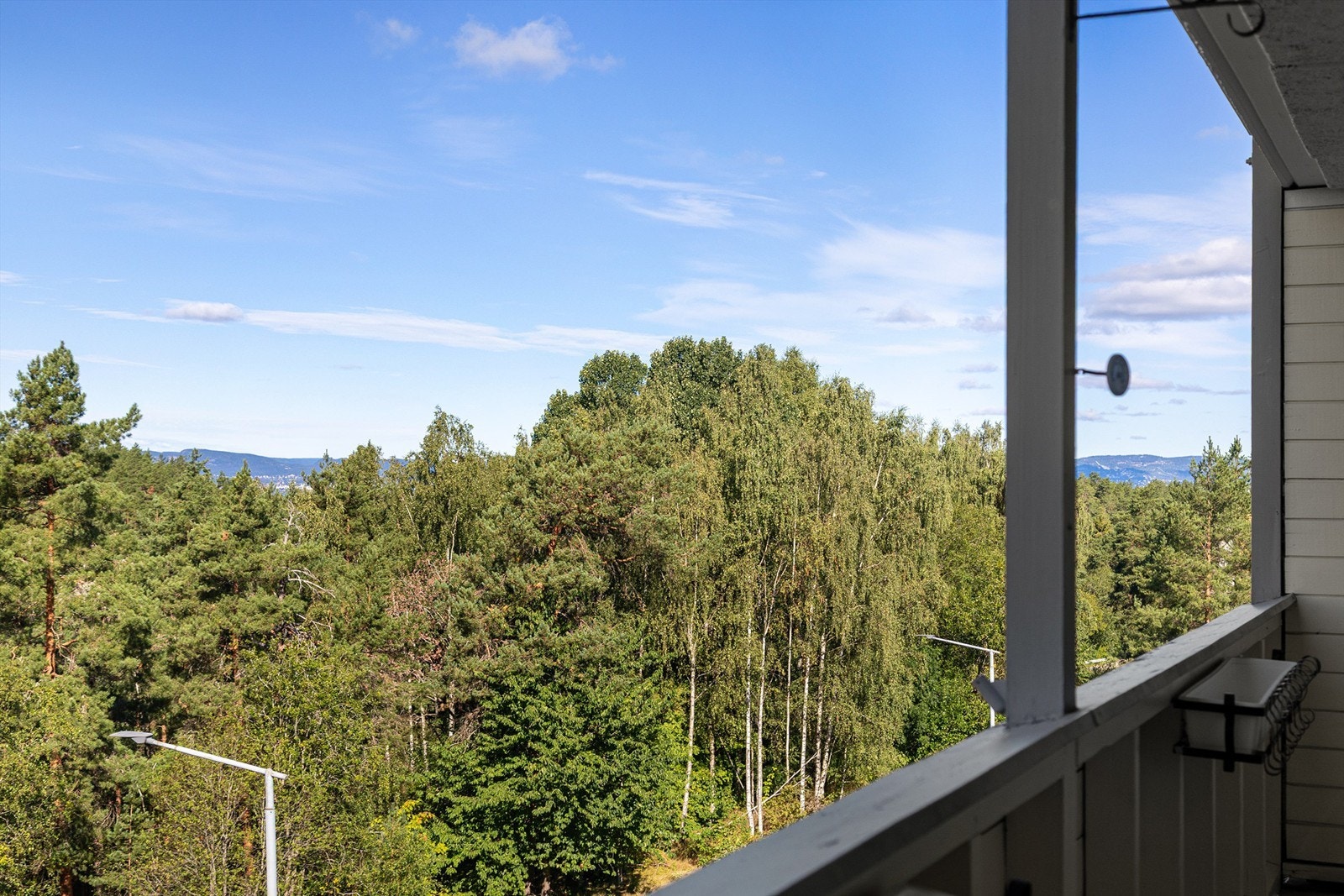Fin utsikt mot vest Galleribilde