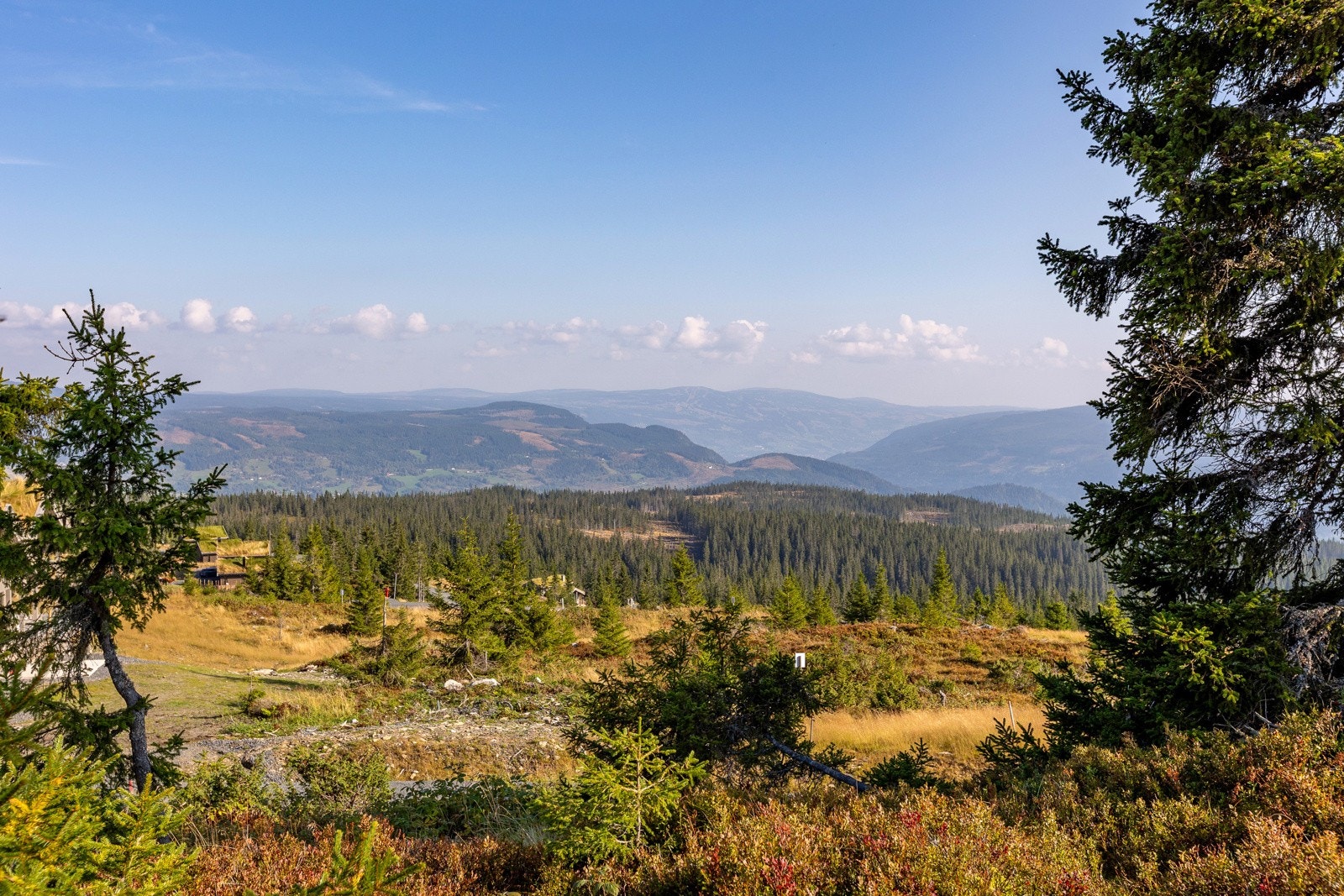 278599_269A8911 Galleribilde