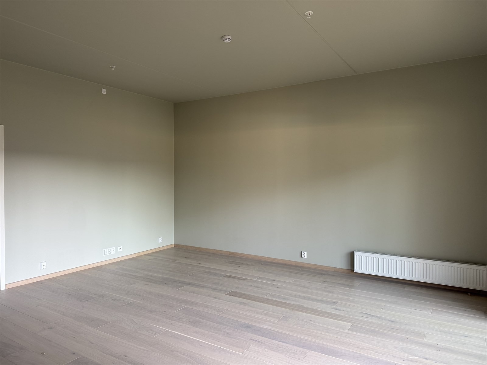 Bilde tatt fra leiligheten 18/8-25. Galleribilde