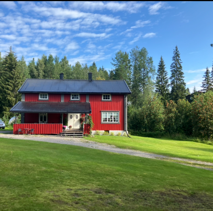 Ikke langt unna boligen vil du ha god tilgang til både treningsmuligheter og turmuligheter, hvor bla. BIrkebeinertraseen kan by på store friluftsområder for dette både på sommer- og vinterstid. (selgers private bilde) Galleribilde