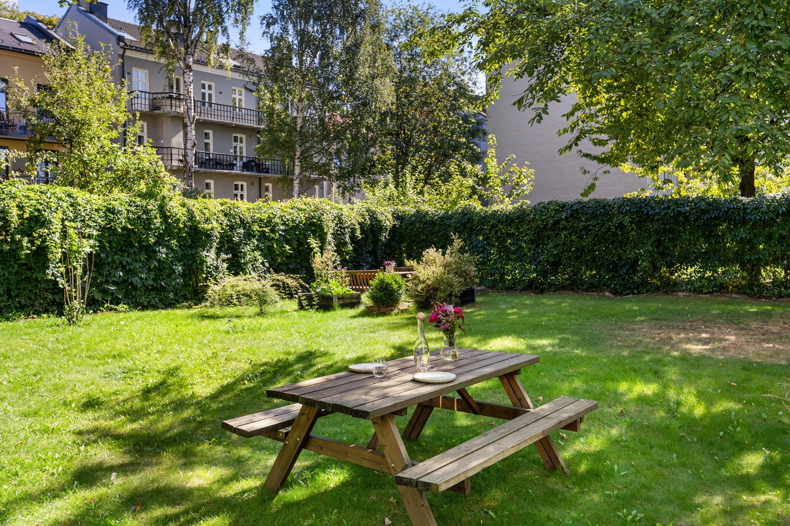 - Stort, felles gårdsrom med plen, planter, busker og trær - Galleribilde