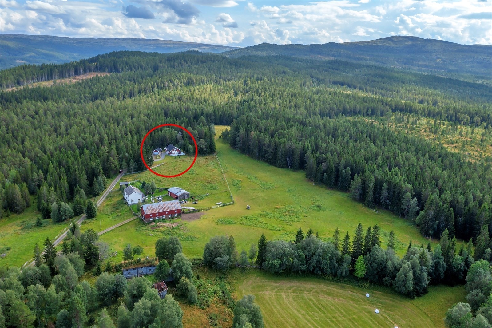 Her har du naturen med skogen og turområdene som nærmeste nabo Galleribilde