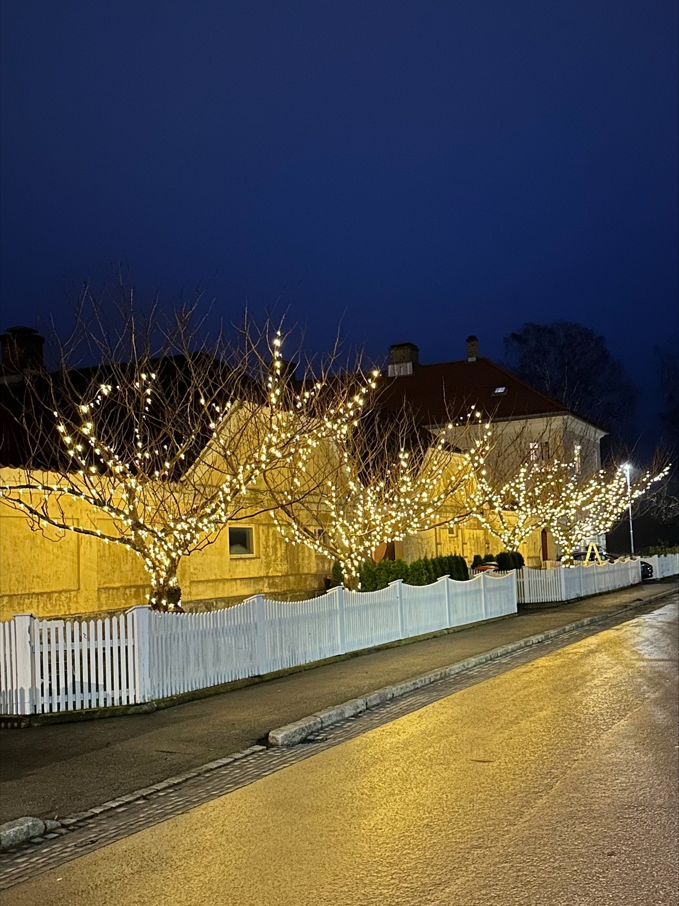 Herlig kveldsstemning med belysning på sameiets japanske kirsebærtrær Galleribilde