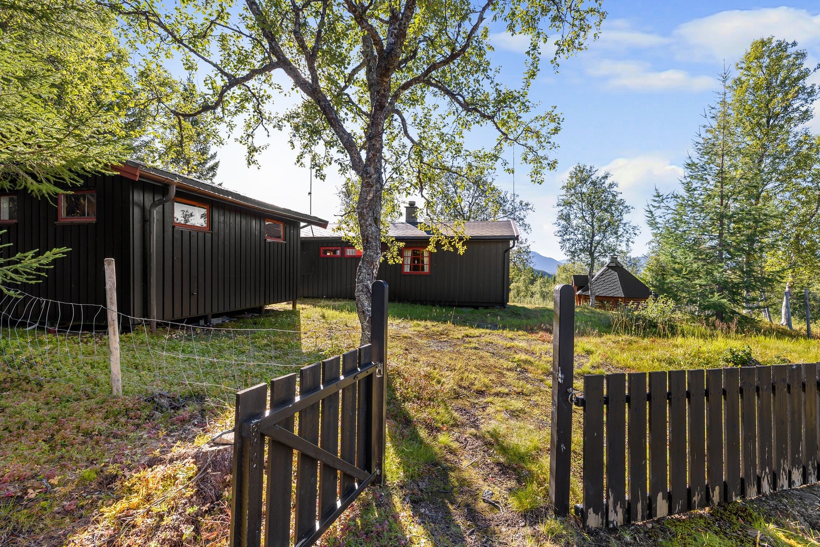 Hytten byr på landlig ro med skogen som nærmeste nabo Galleribilde