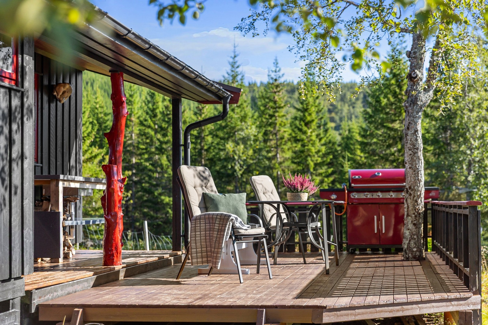 Hytta ligger idyllisk til med umiddelbar nærhet til skog og mark Galleribilde