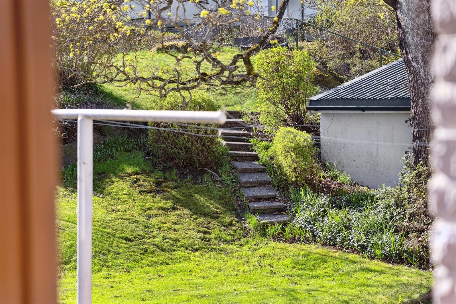 Nydelig hage med flere solrike uteplasser. Galleribilde