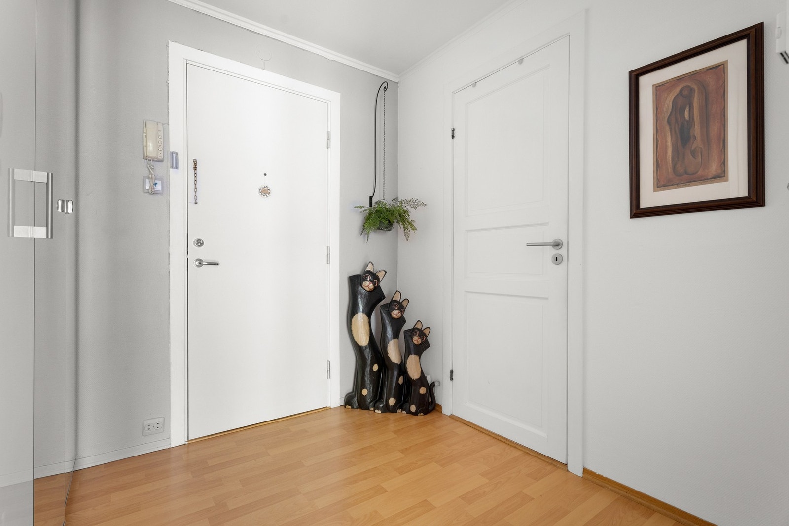 Pen entré med hvitmalte vegger og gyllent, trestavs laminatgulv. Galleribilde