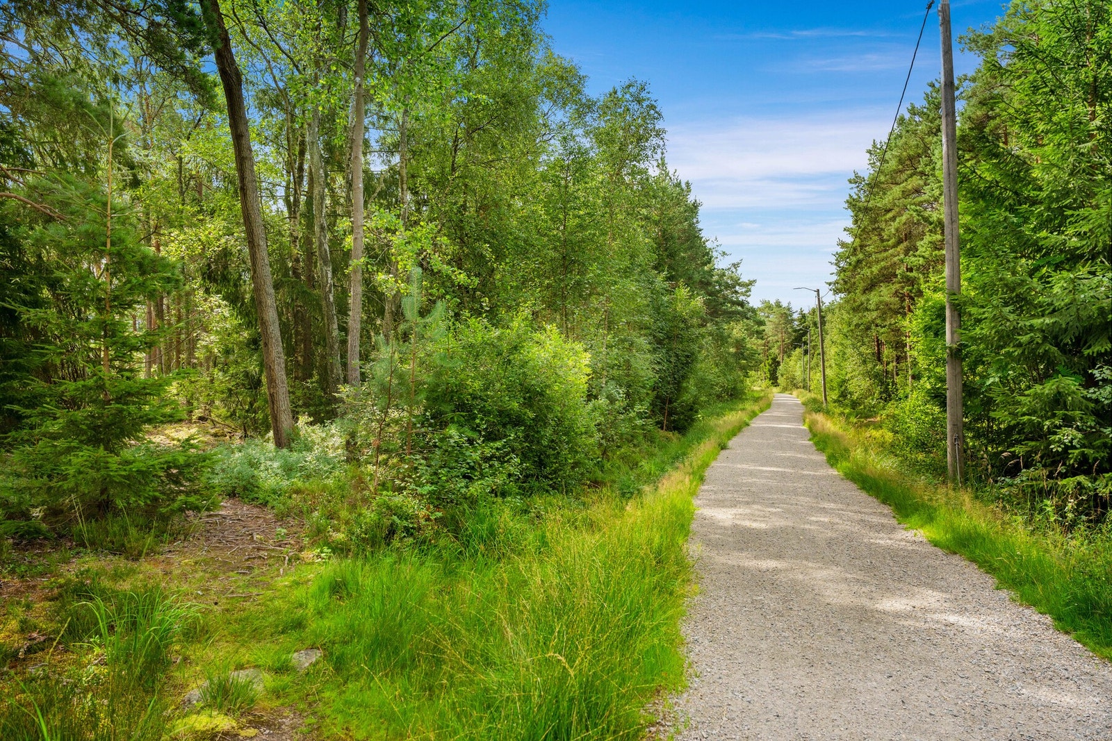 Det er kort vei til populære lysløypa på Kurland Galleribilde