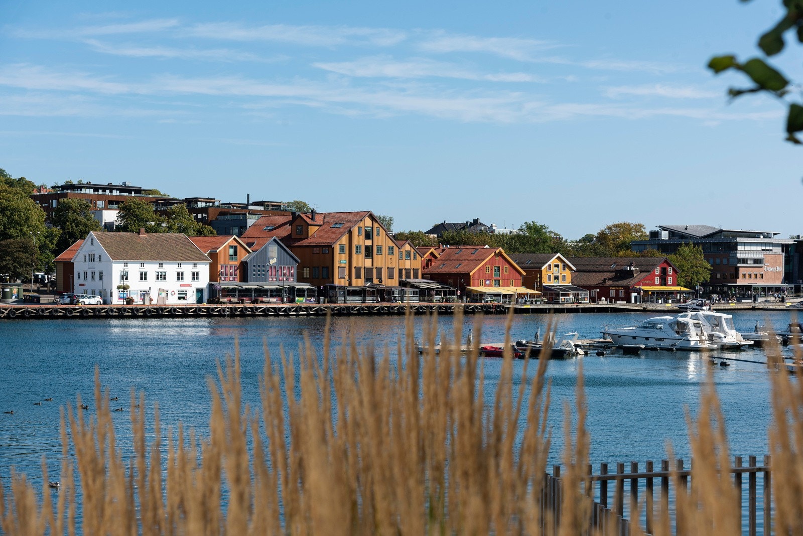 Nærområdet Galleribilde