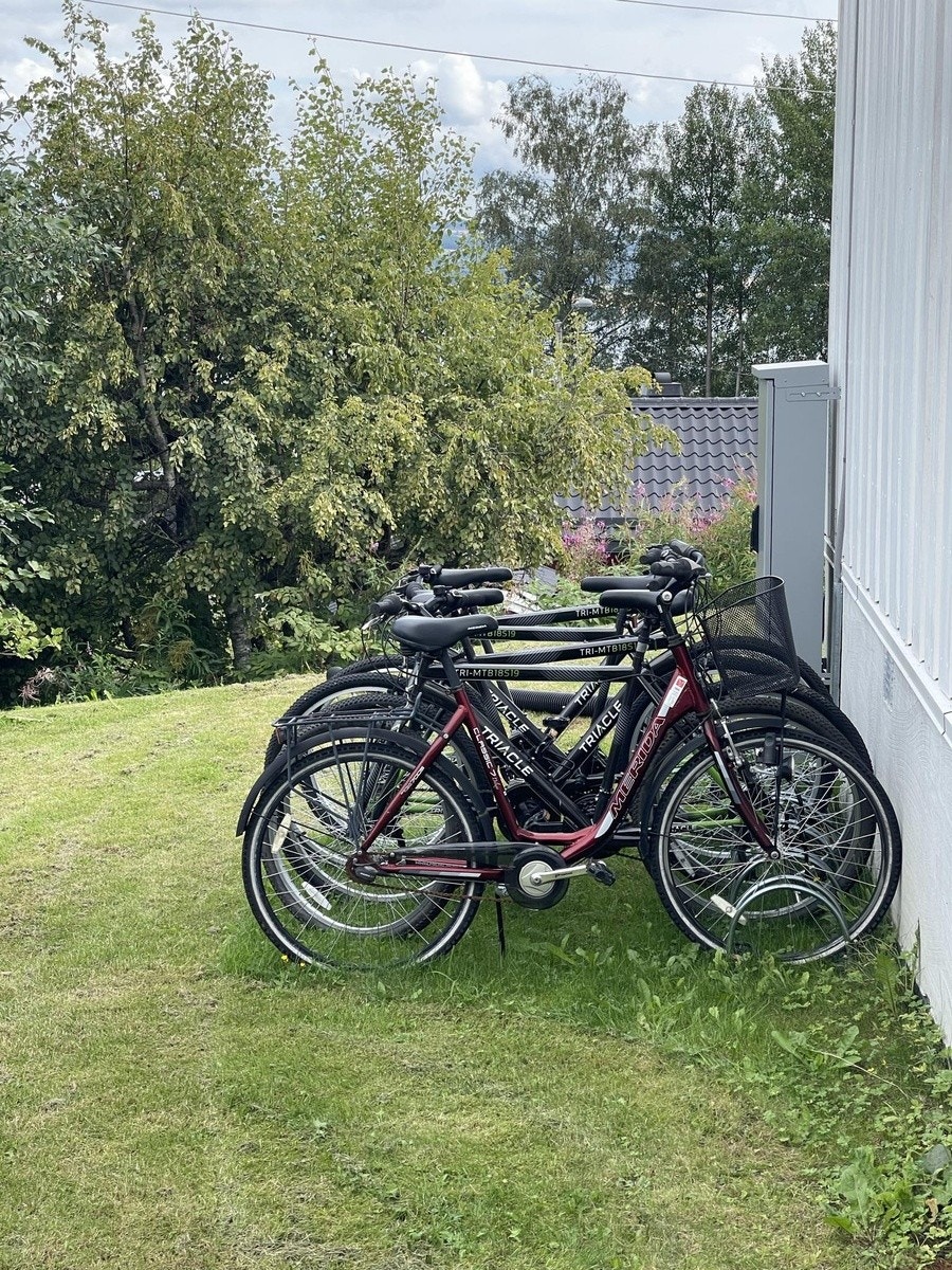 Gratis lån av sykkel Galleribilde