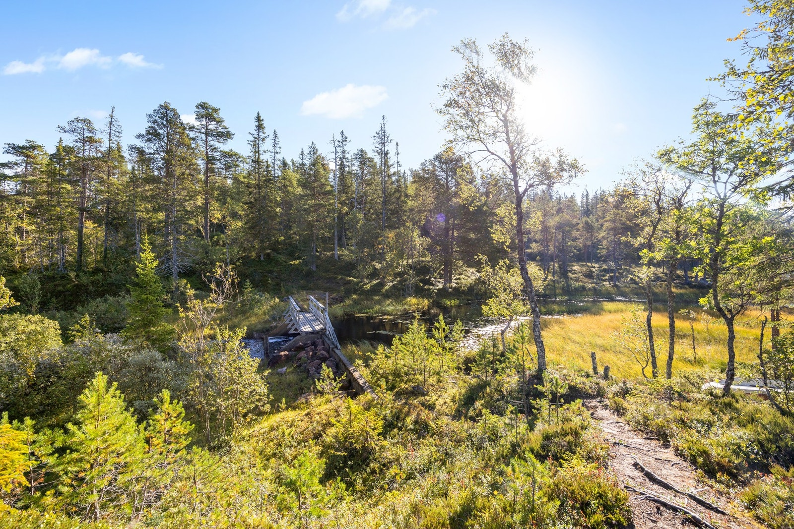 Område Galleribilde