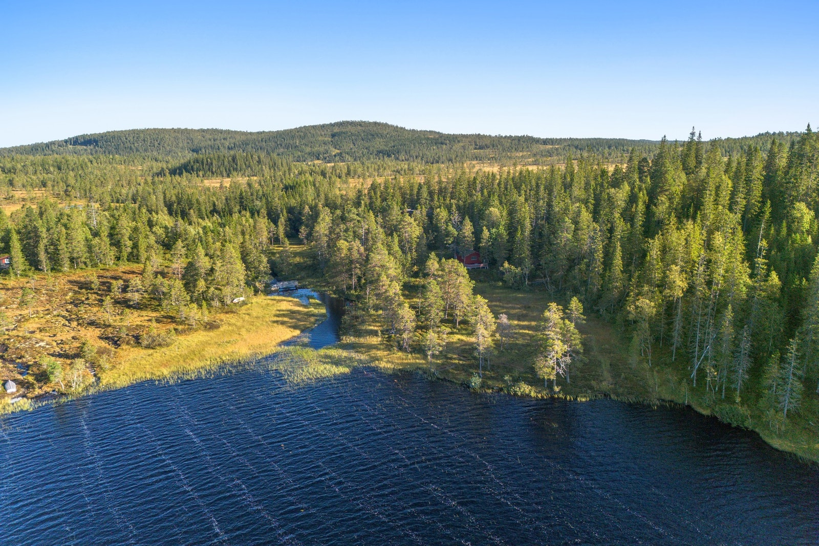 Henningvatnet er kjent for gode fiskemuligheter, bading og naturopplevelser Galleribilde