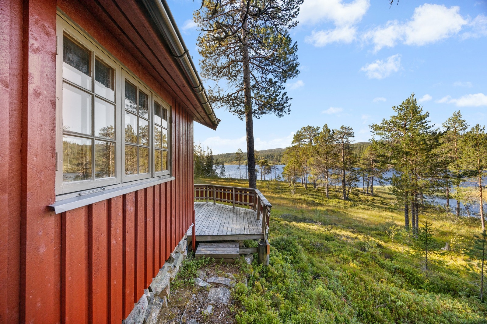 Naturtomt rundt hytta Galleribilde