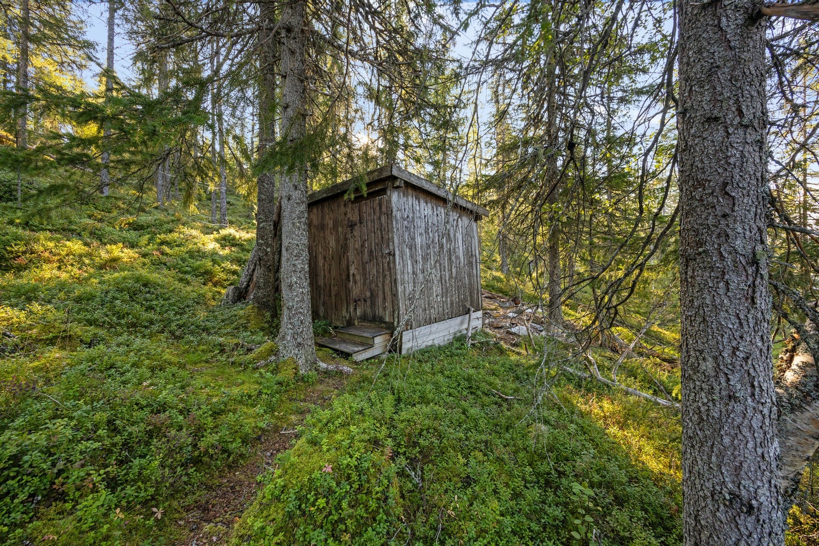 Uthus med utedo Galleribilde