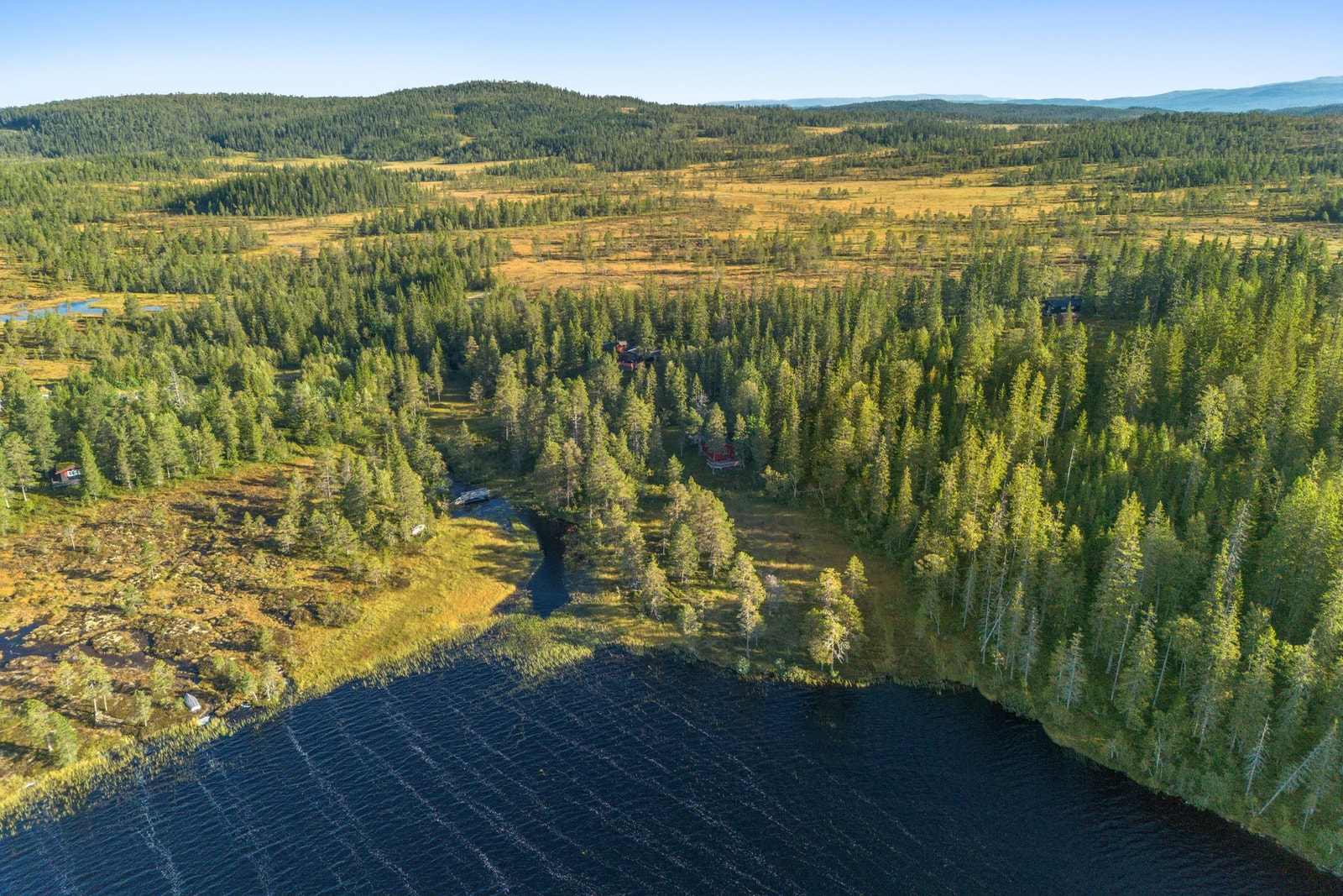 Område Galleribilde