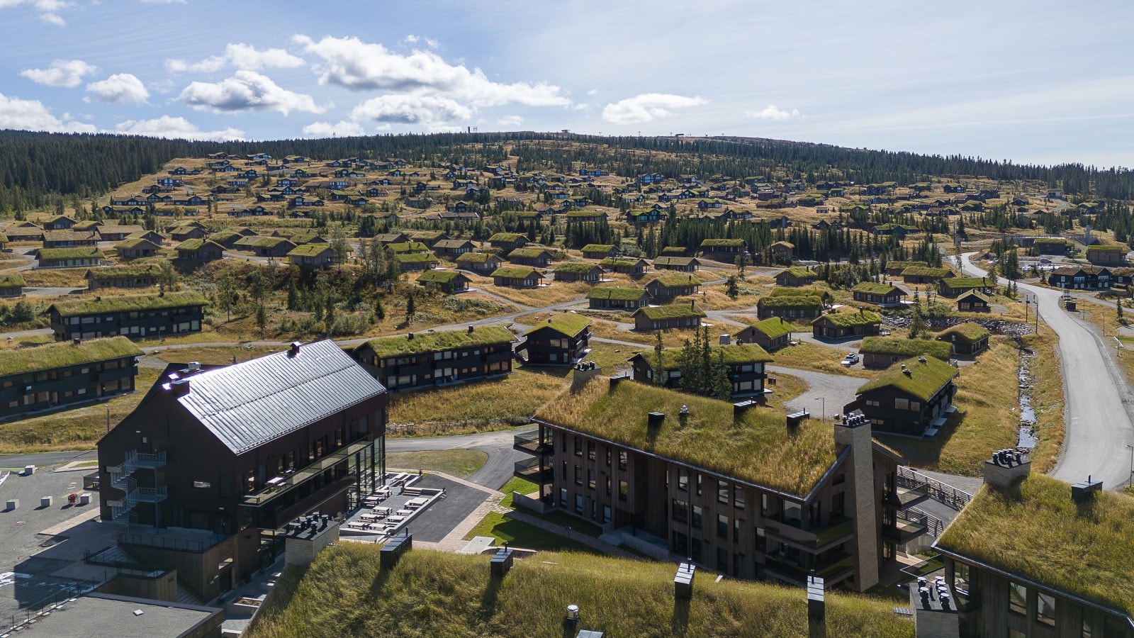 Sees på visning! Galleribilde