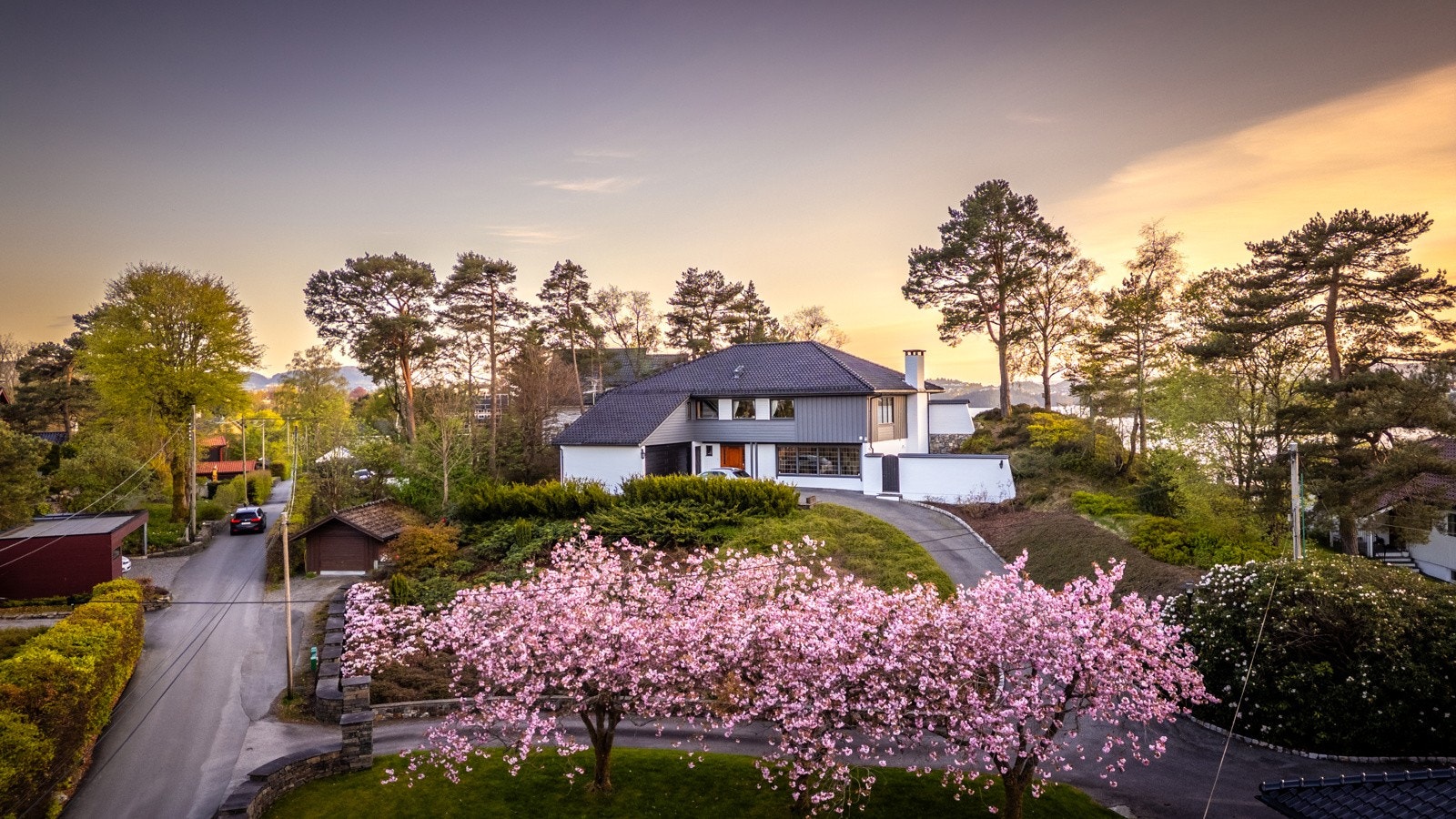 Storslått blomstring om våren Galleribilde