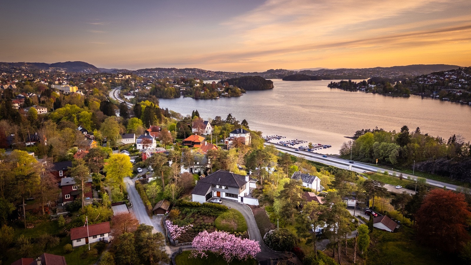 Flotte omgivelser Galleribilde