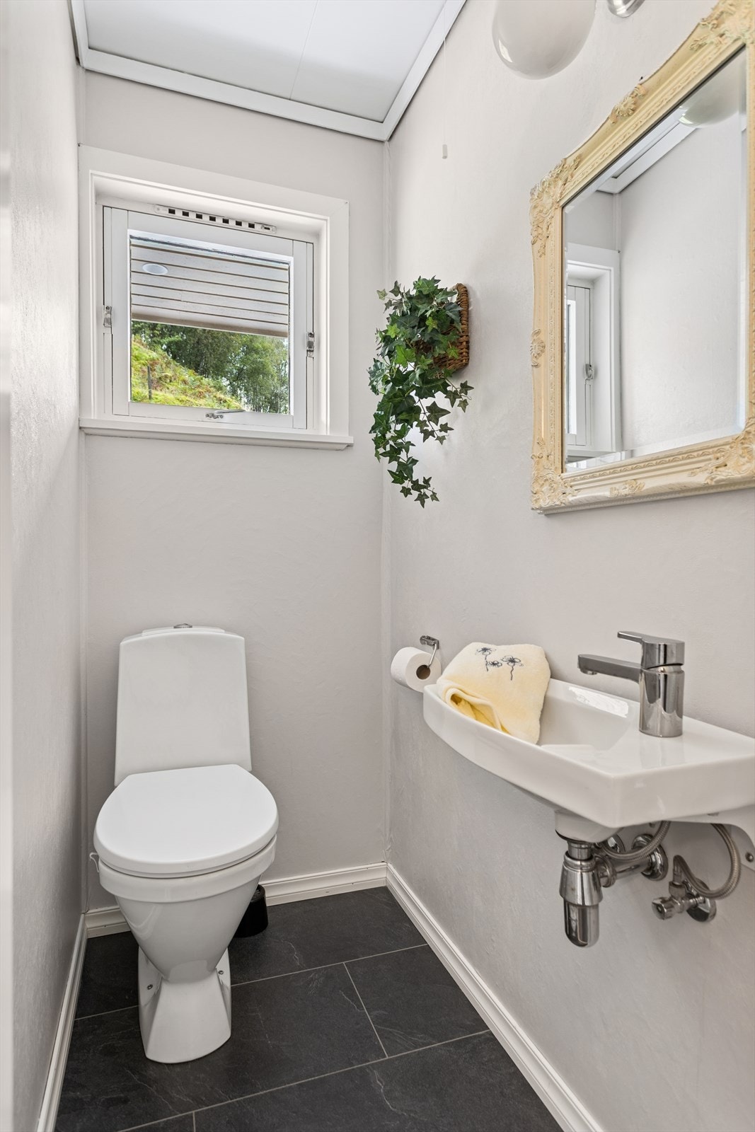 Separat wc i første etasje med laminat på gulvet, tapetserte vegger og himlingsplater i taket Galleribilde