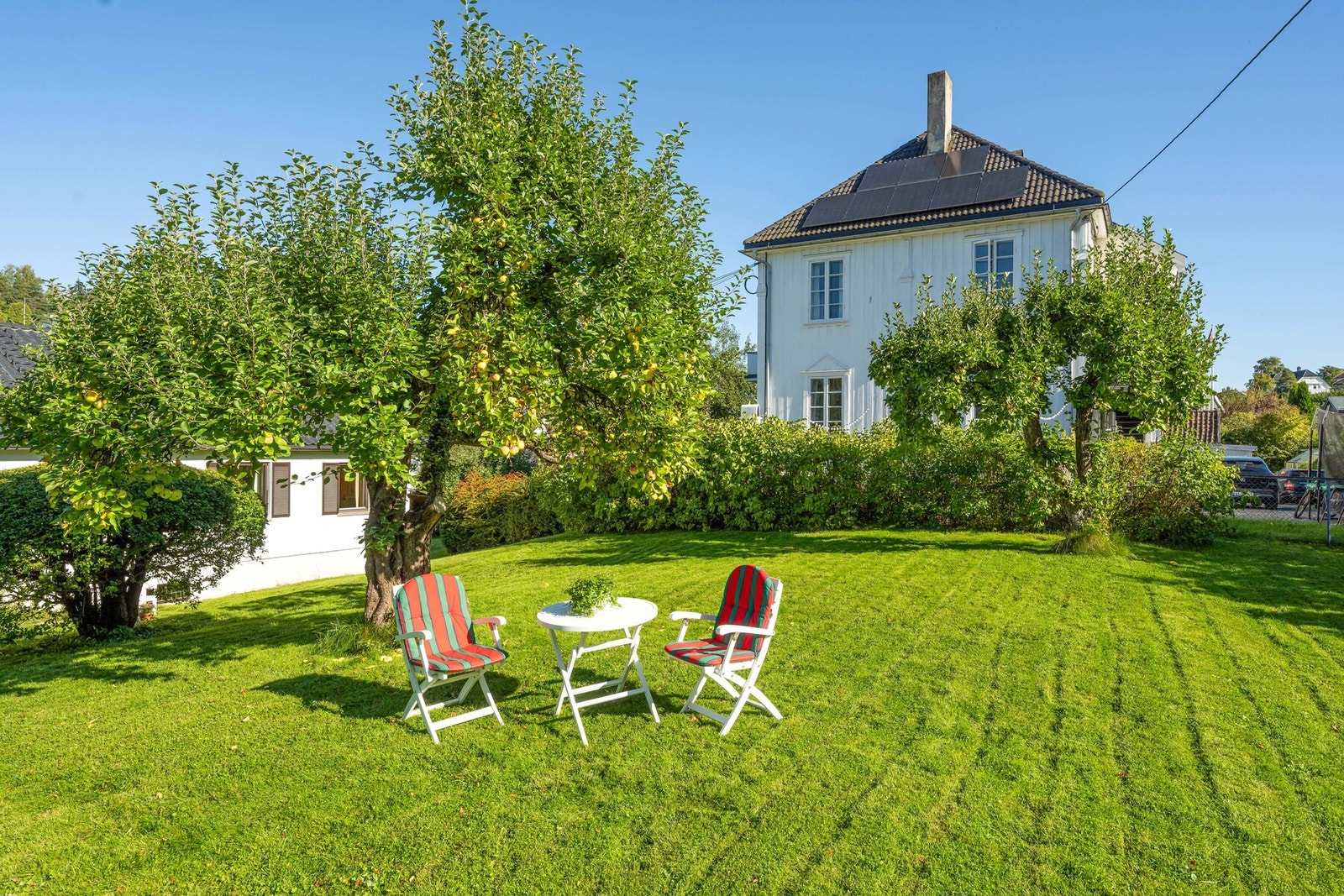 Stor, frodig tomt men herlige solforhold. Galleribilde