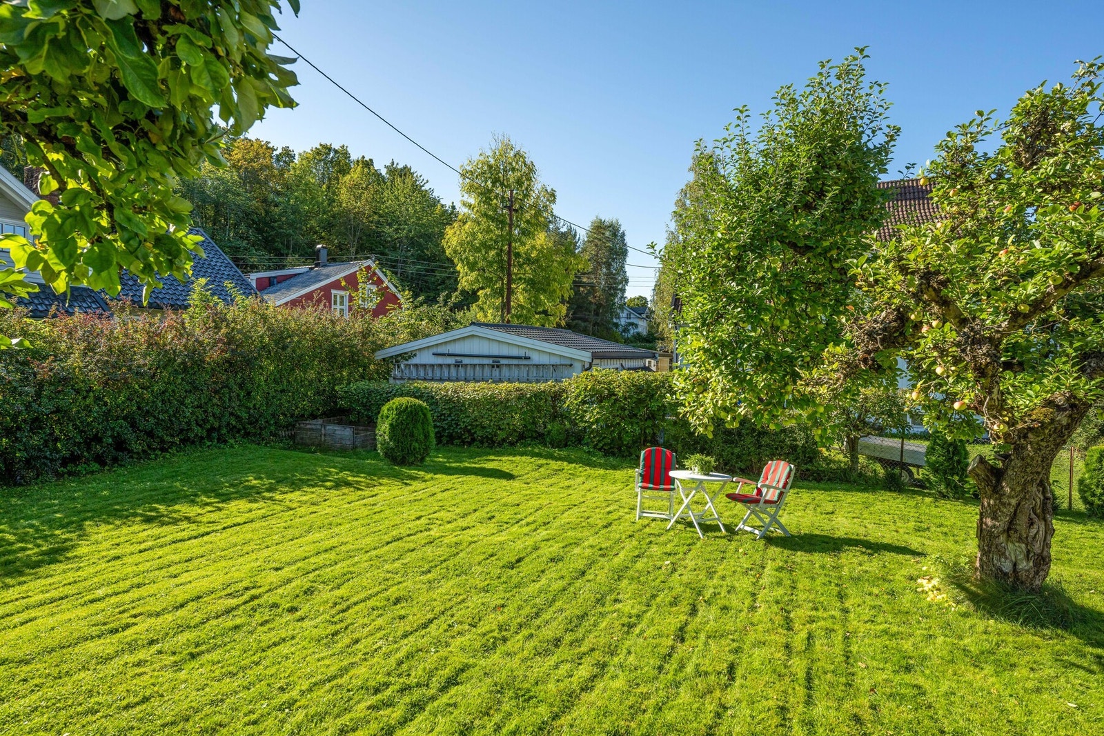 Epletre er det også! Galleribilde