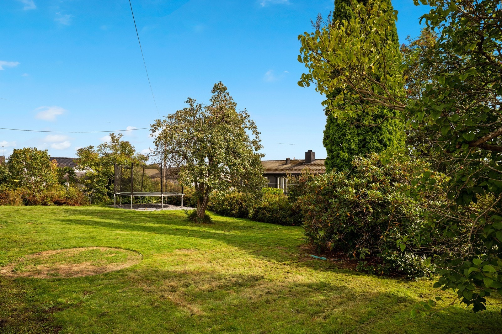 Tomten er pent opparbeidet med gressplen og diverse beplanting. Galleribilde