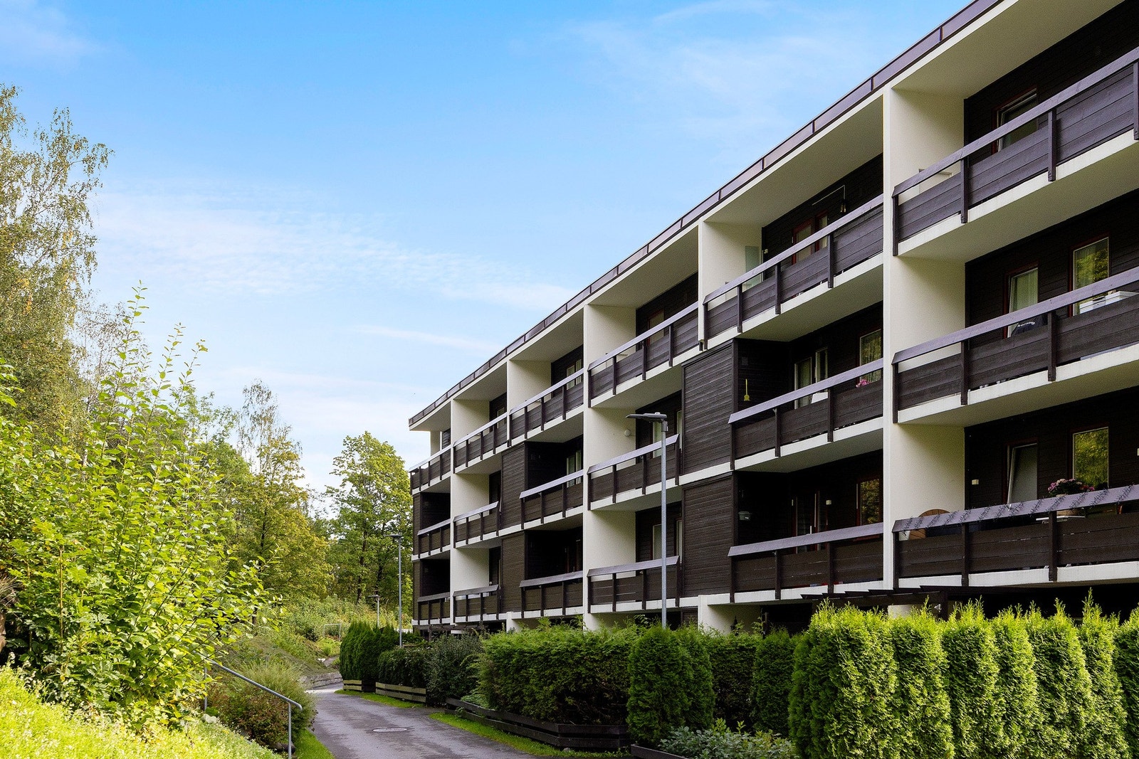 Velkommen til Hamangskogen Galleribilde