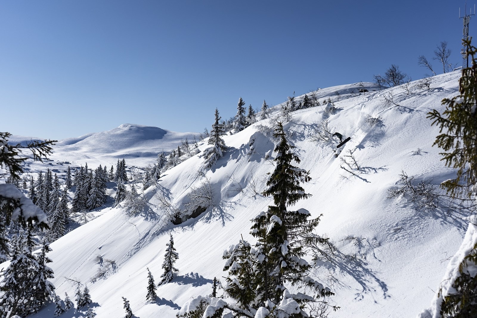Høgevarde er kjent for gode og snøsikre forhold, og er for mange kjent som et puddermekka. Galleribilde