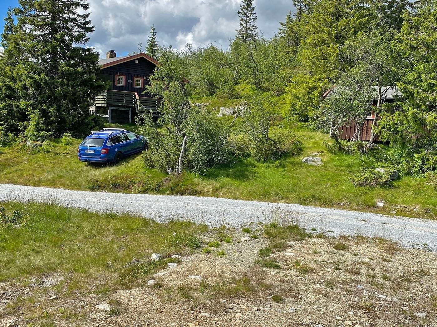 God parkering om sommeren. Galleribilde