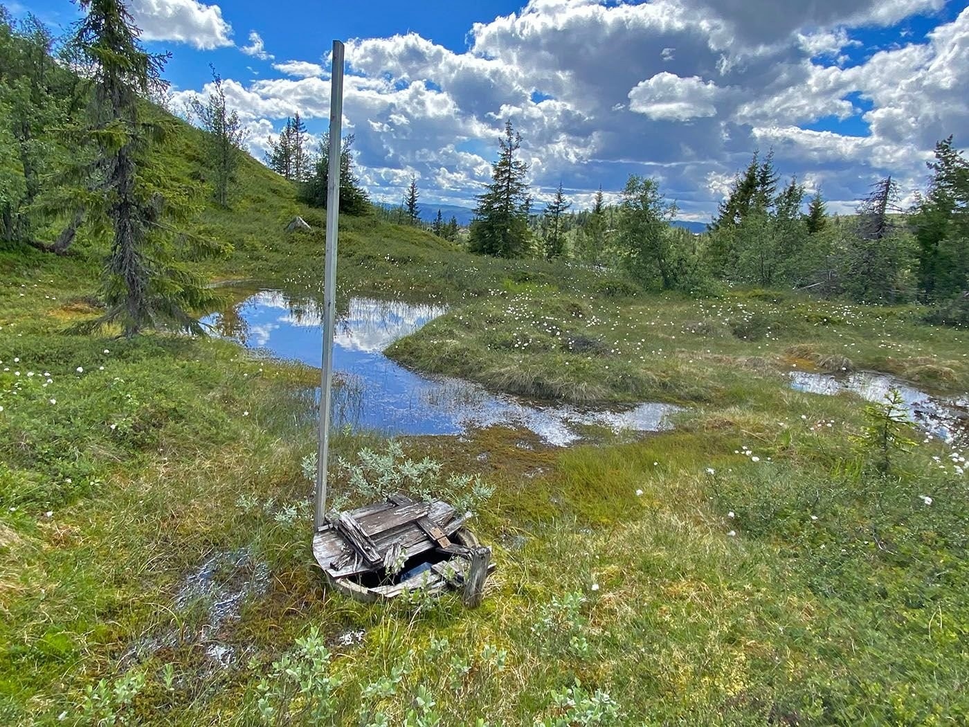 Gammel brønn Galleribilde
