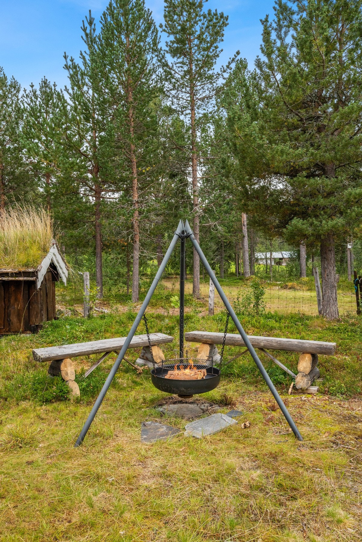 Her er det flott å nye godværsdager! Galleribilde