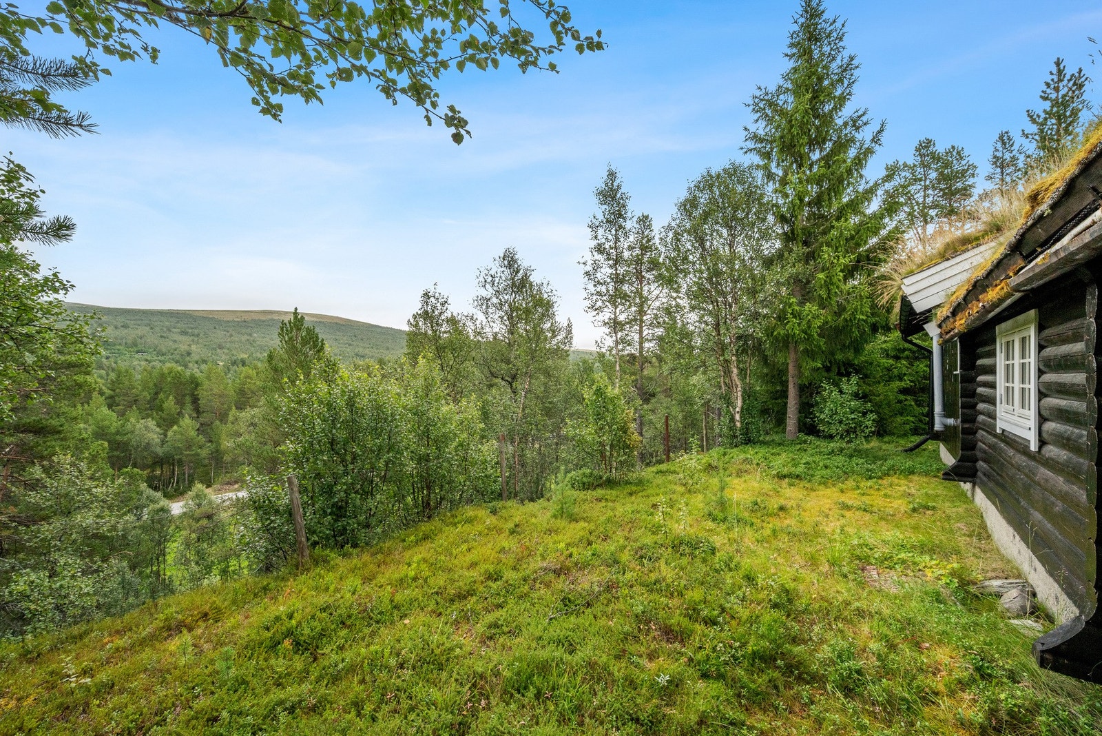 Hytta ligger skjermet i landlige omgivelser, med flott natur! Galleribilde