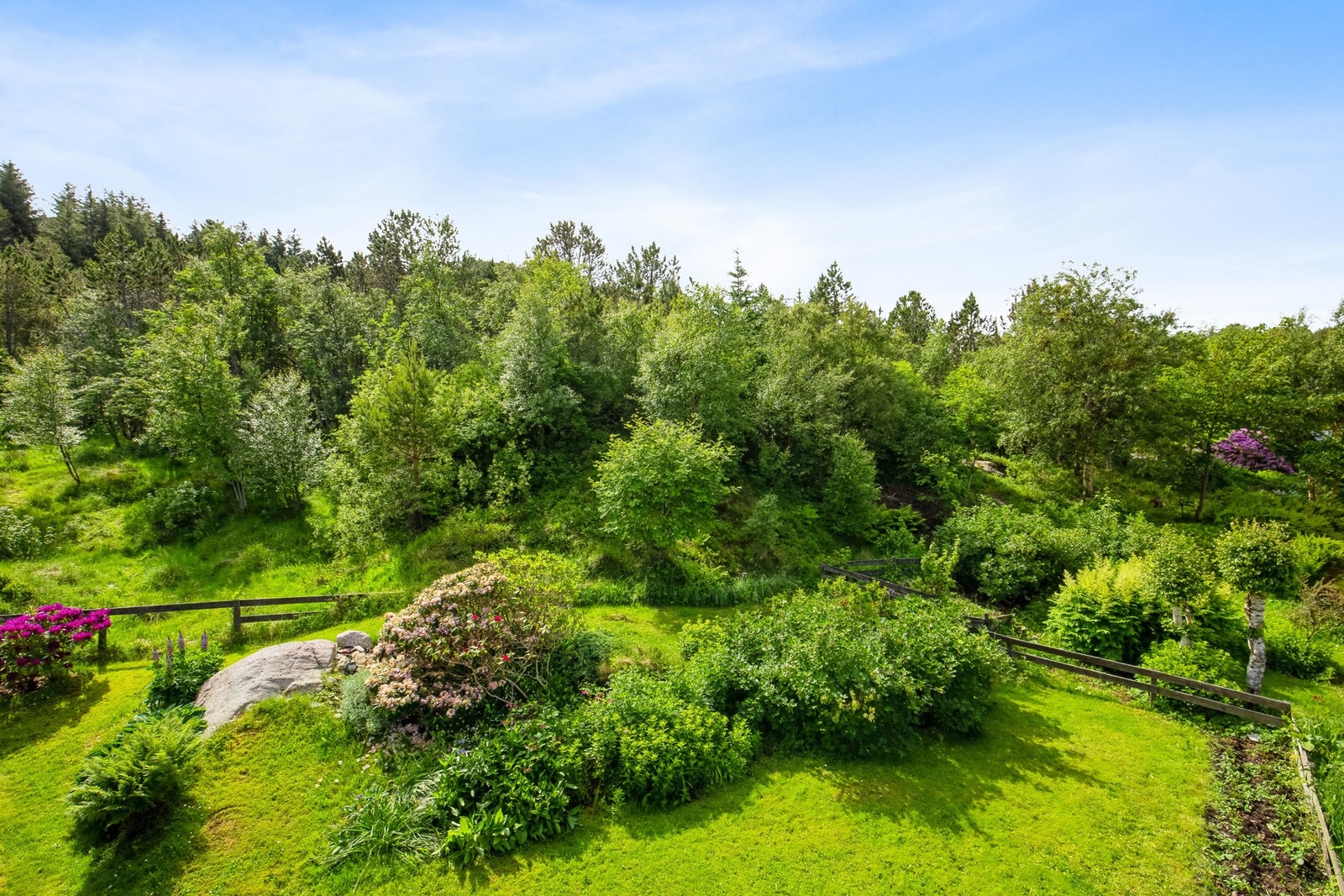 Flott hageområde med plen og beplantning Galleribilde