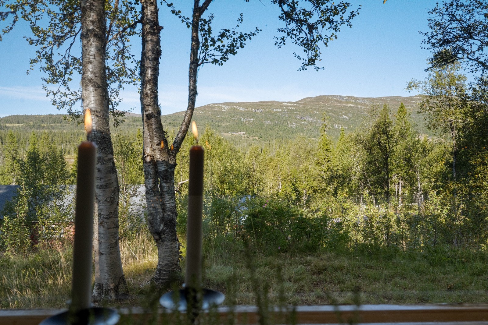 Utsikt fra vinduet Galleribilde