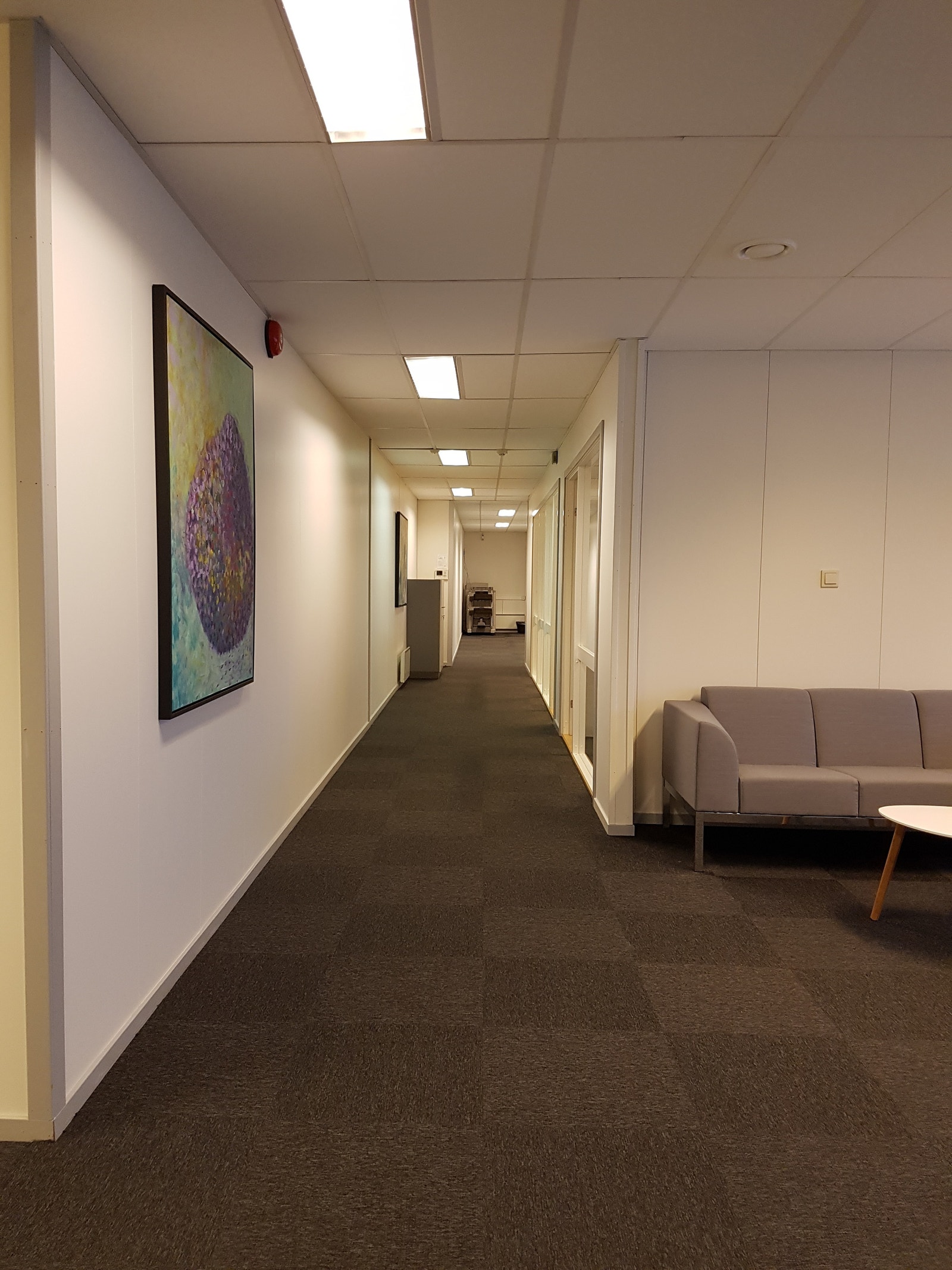 AREAL 1 Galleribilde