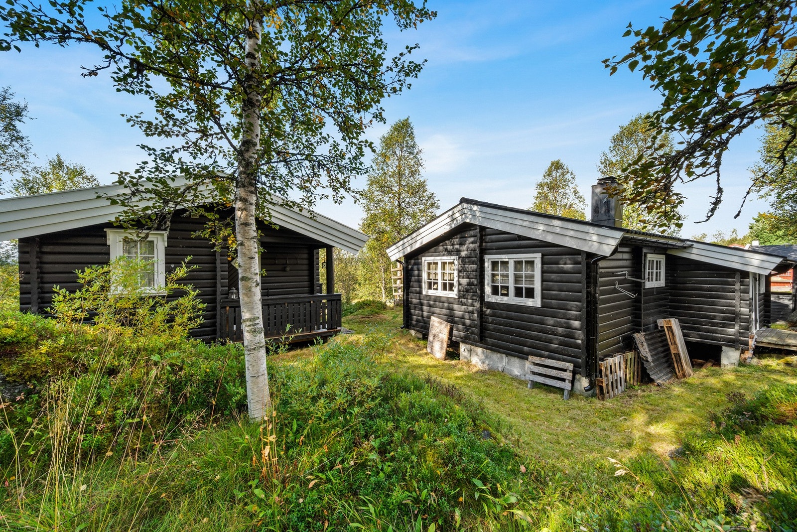 Fra eiendommen er det preparert lysløype like nærheten. Ved skistadion (1,5 km) er det flotte skiløyper opp i fjellet og over til Røros. Galleribilde
