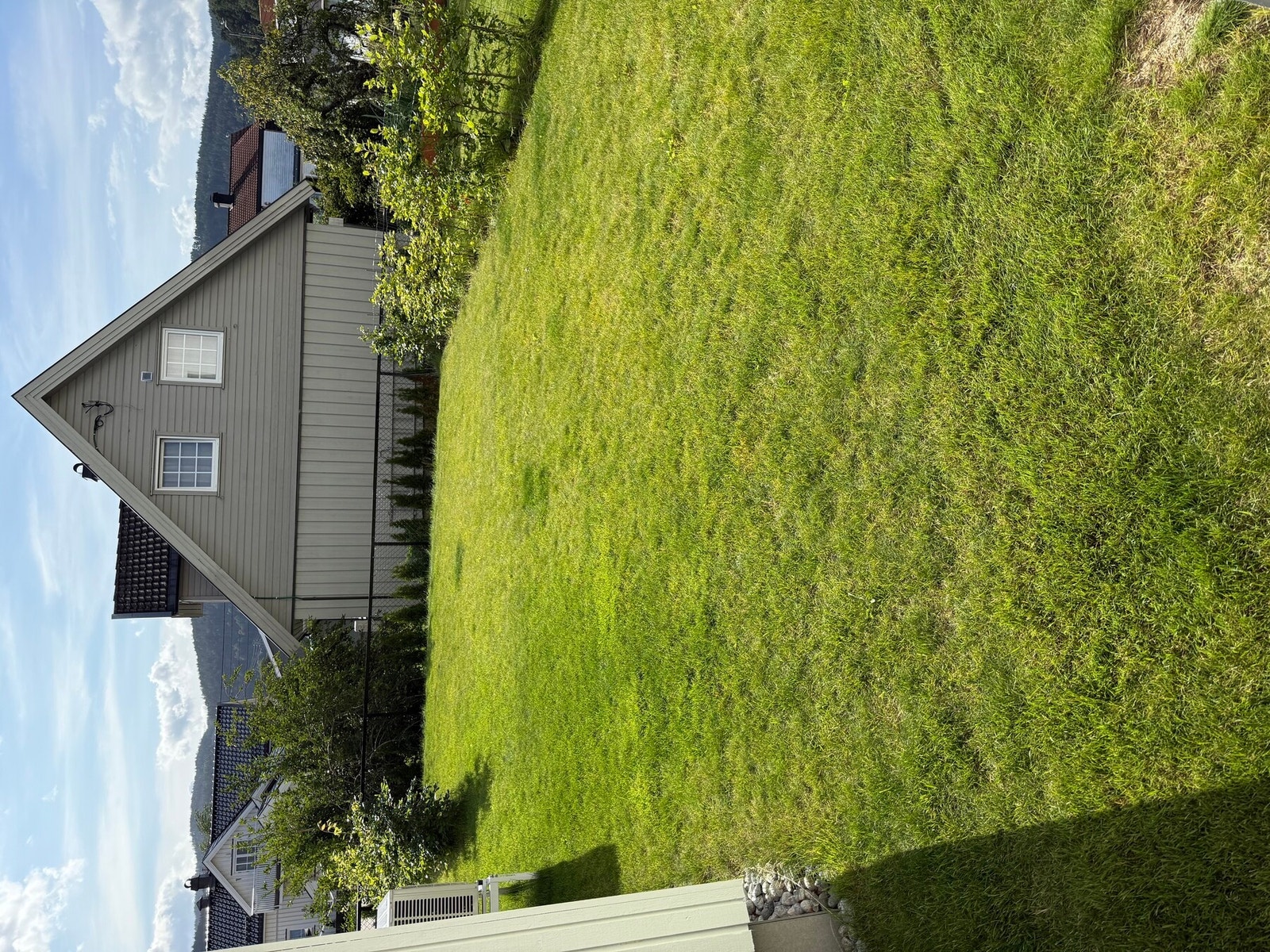 Selgers bilder Galleribilde