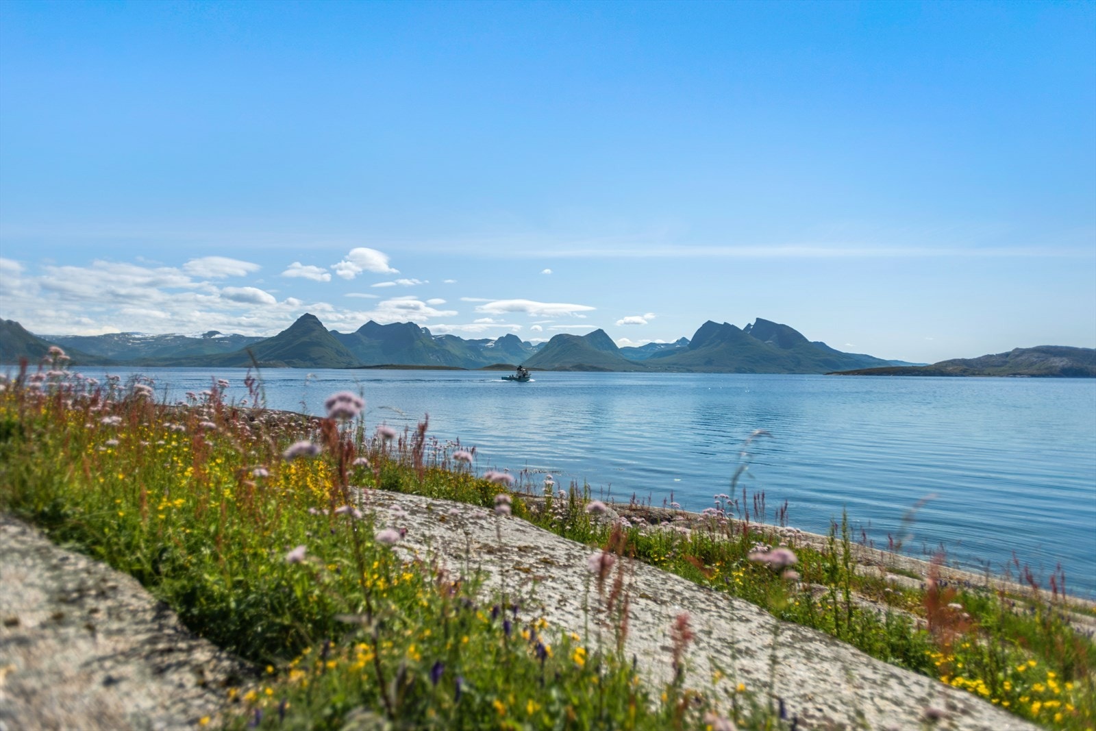 Indre Kvarøy er en lite øy med en spennende historie. Navnet Kvarøy kommer sannsynligvis fra betydningen "Brem eller kant". Fra gammelt av het det Ytre Quarøen og Indre Quarøen. Galleribilde