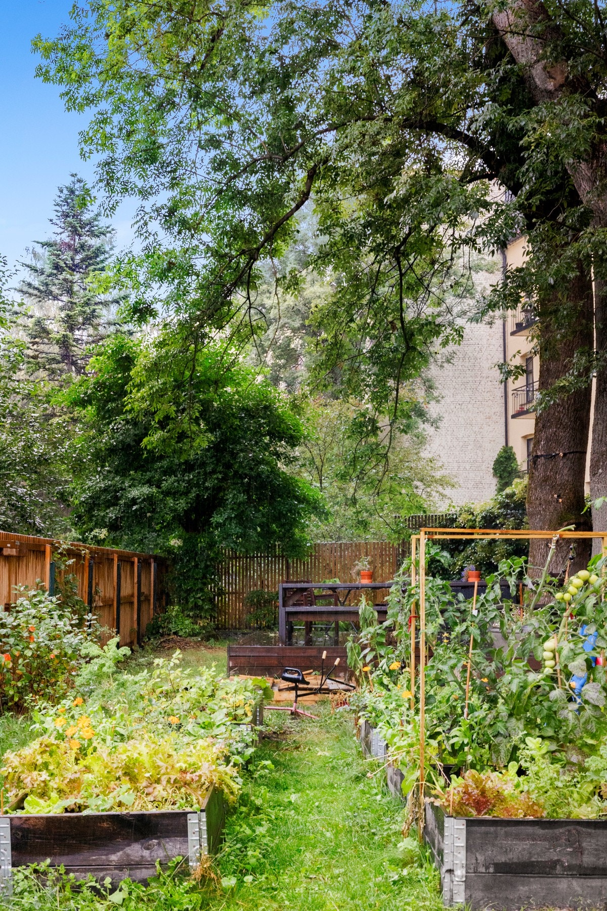 Felles hage med dyrkingsmuligheter Galleribilde