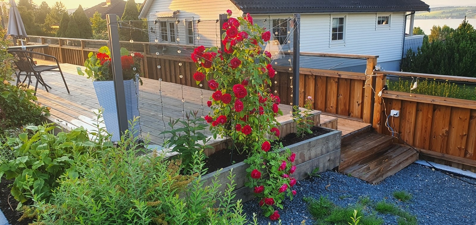 Selgers private foto Galleribilde